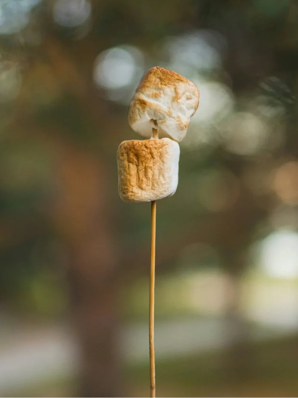 Sand + Fog toasted marshmallow